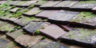Sea Mills roof repair costs